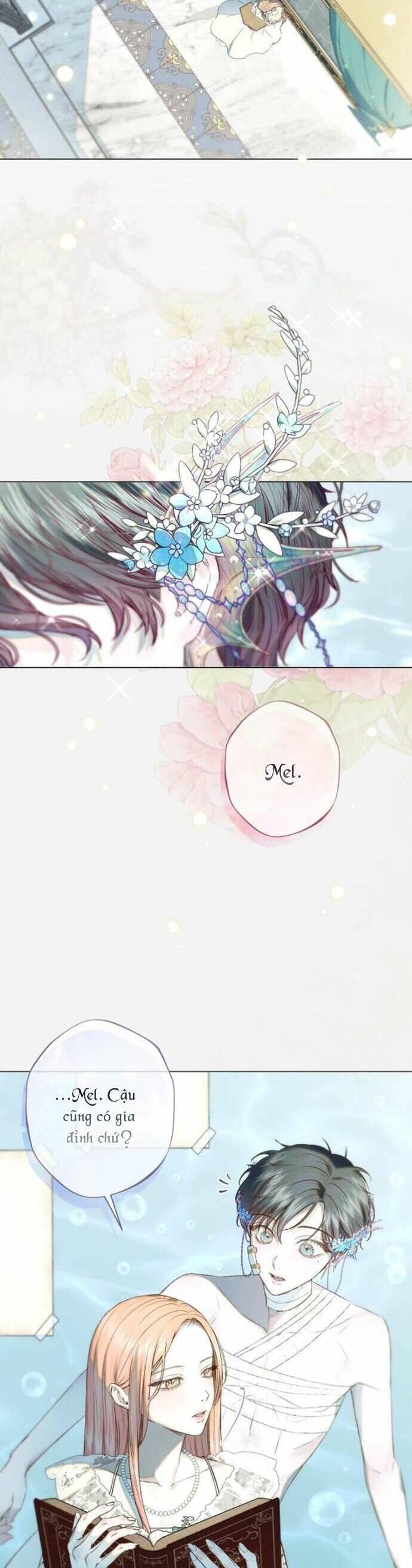 Chàng Tiên Cá Bị Giam Cầm Trong Hồ Nhà Tôi: Chapter 8