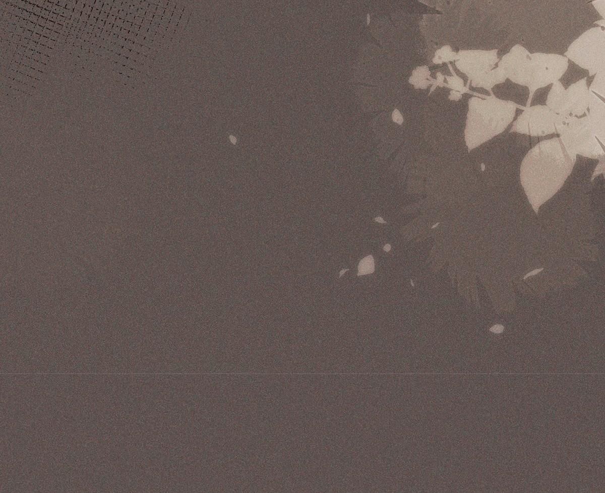 Chiếm Đoạt Ánh Trăng: Chapter 24