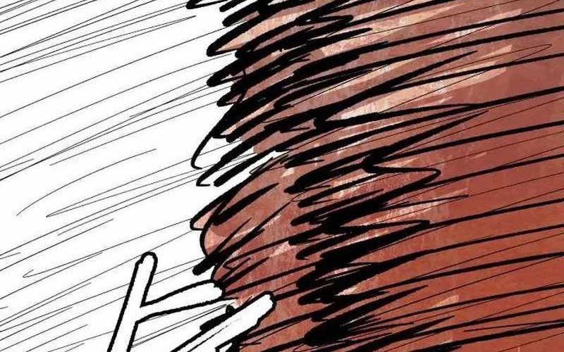 Chiến Binh Cariel: Chapter 5