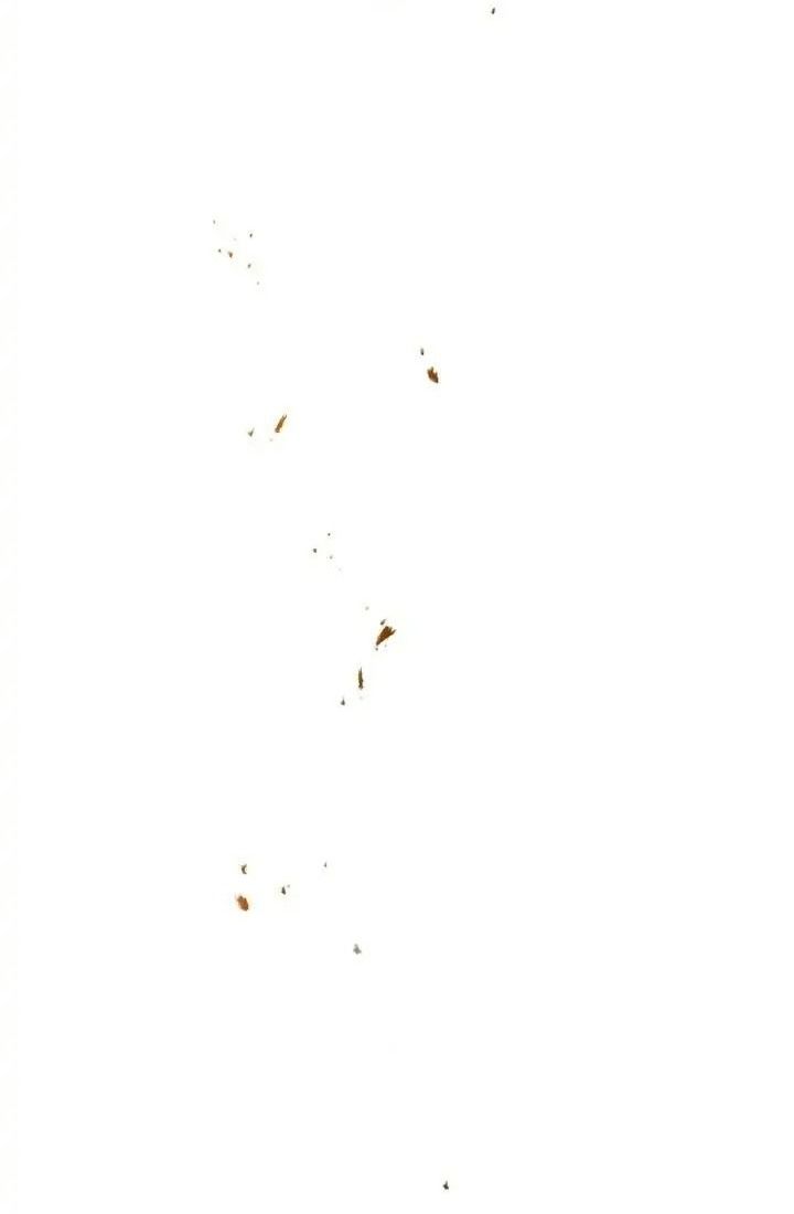 Chiến Binh Xương Trắng Thất Thủ: Chapter 119