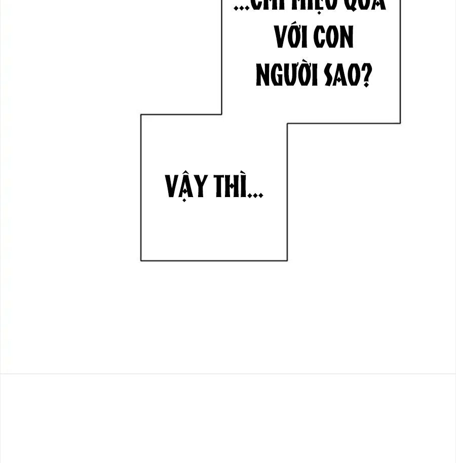 Chiến Binh Xương Trắng Thất Thủ: Chapter 138