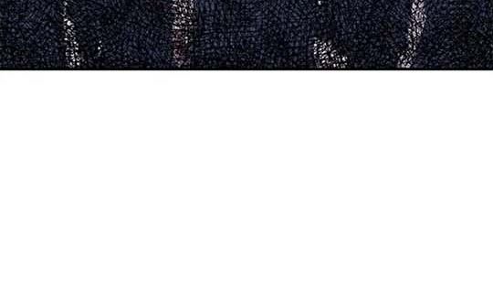 Chiến Binh Xương Trắng Thất Thủ: Chapter 147