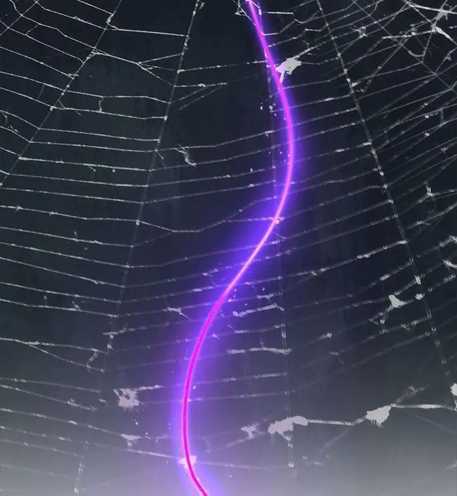 Chiến Binh Xương Trắng Thất Thủ: Chapter 152