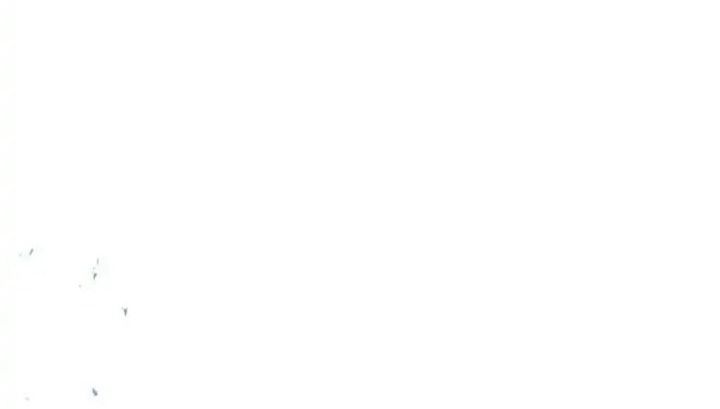 Chiến Binh Xương Trắng Thất Thủ: Chapter 154