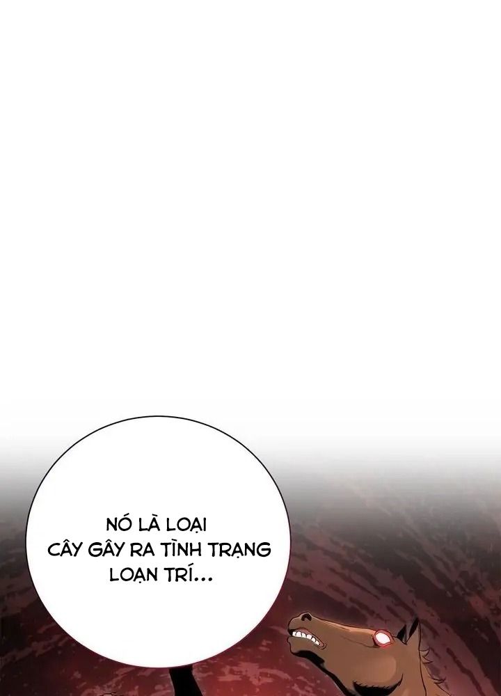 Chiến Binh Xương Trắng Thất Thủ: Chapter 167