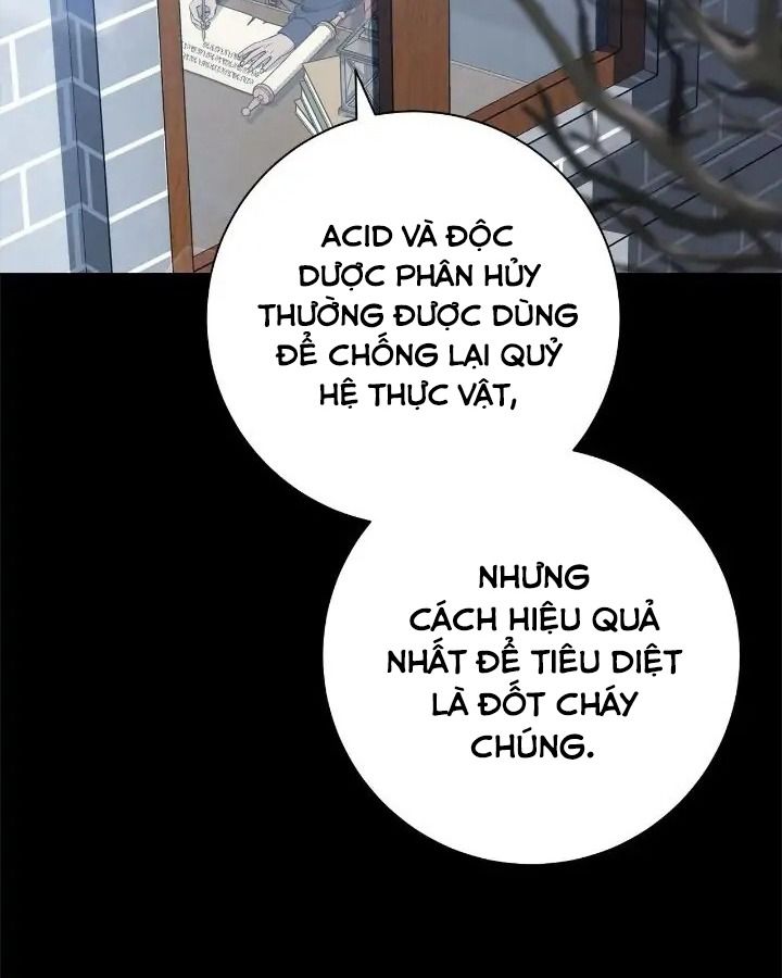 Chiến Binh Xương Trắng Thất Thủ: Chapter 175
