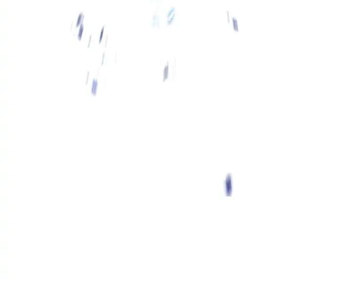 Chiến Binh Xương Trắng Thất Thủ: Chapter 179