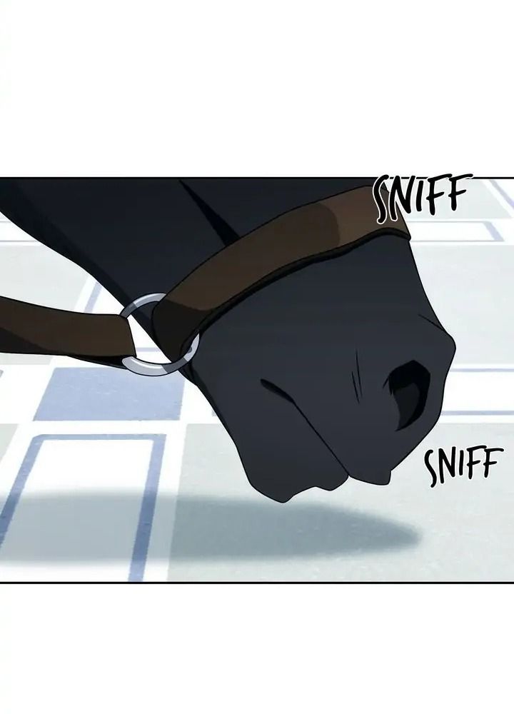 Chiến Binh Xương Trắng Thất Thủ: Chapter 187