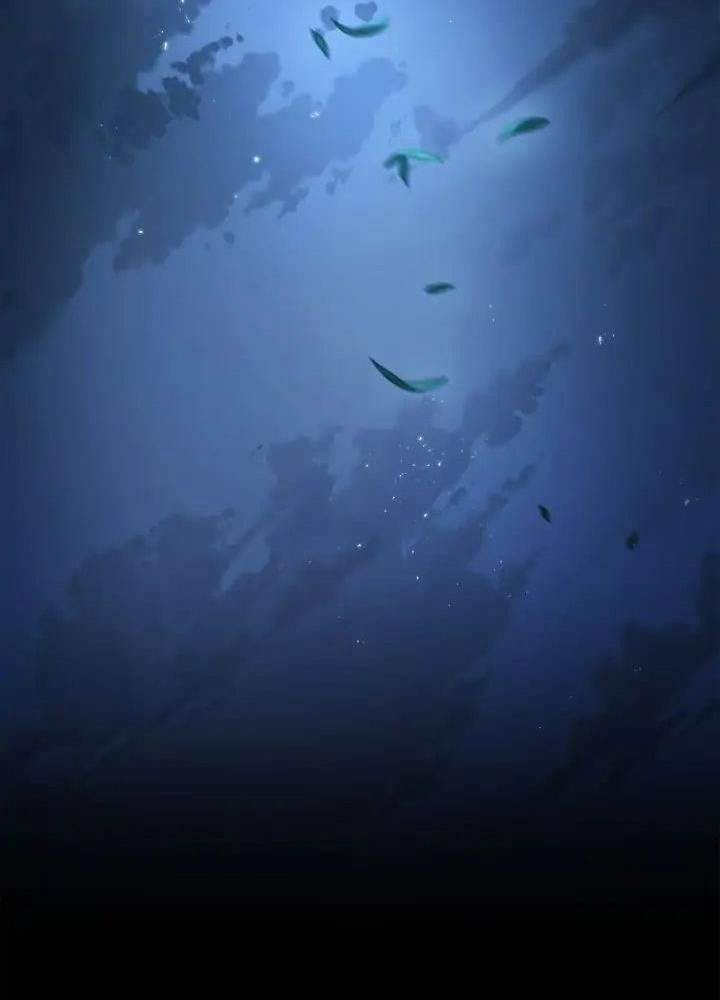 Chiến Binh Xương Trắng Thất Thủ: Chapter 201