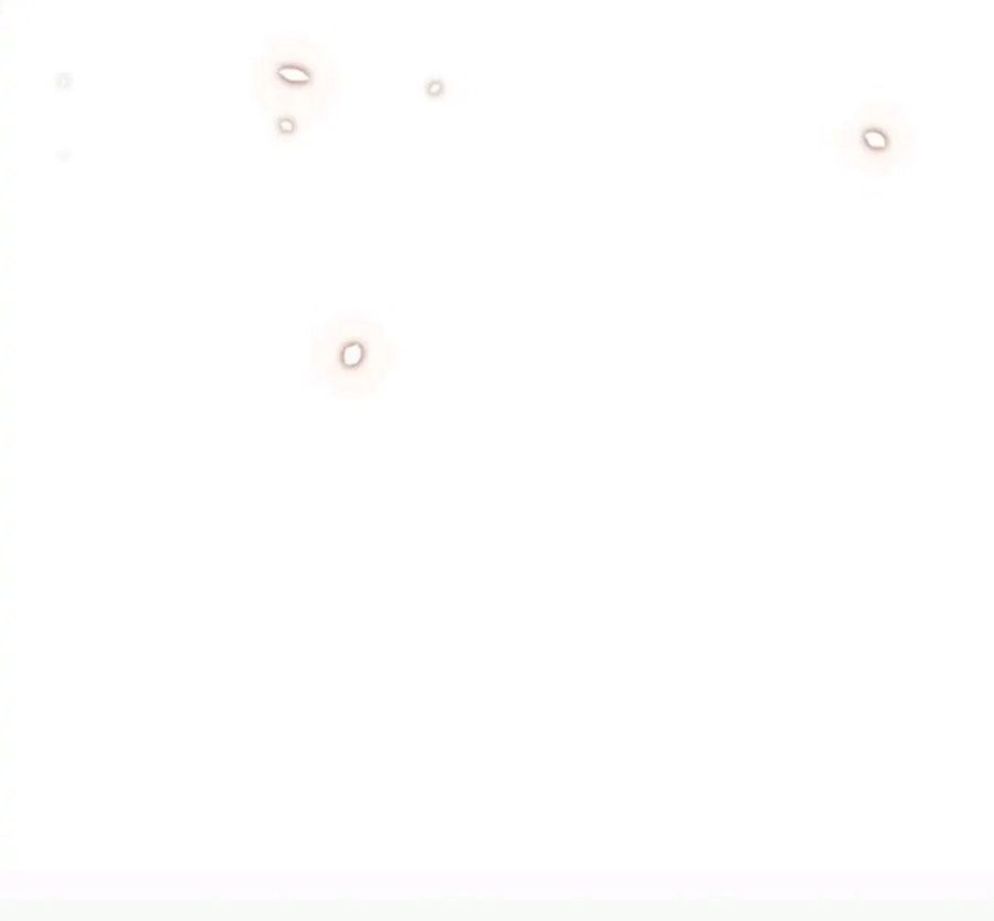 Chiến Binh Xương Trắng Thất Thủ: Chapter 23