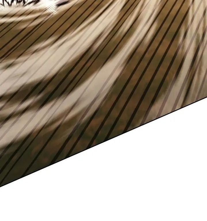 Chiến Binh Xương Trắng Thất Thủ: Chapter 237