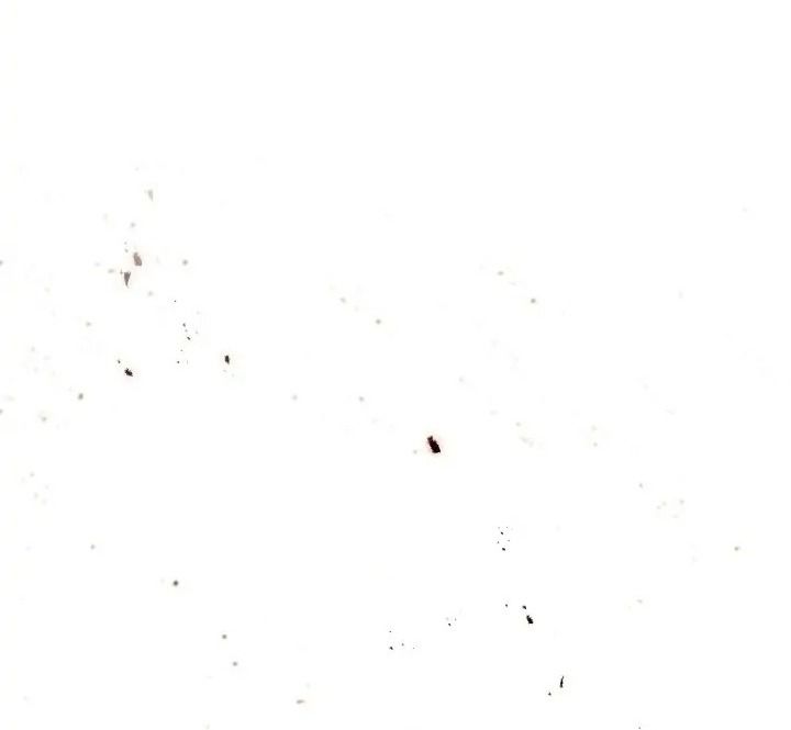 Chiến Binh Xương Trắng Thất Thủ: Chapter 237