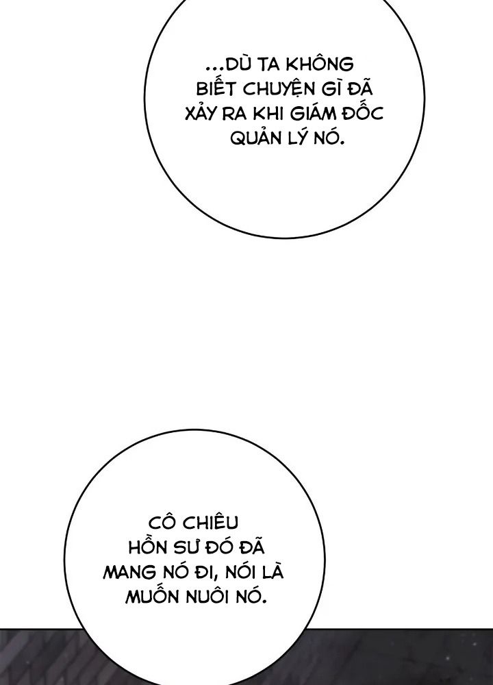 Chiến Binh Xương Trắng Thất Thủ: Chapter 258