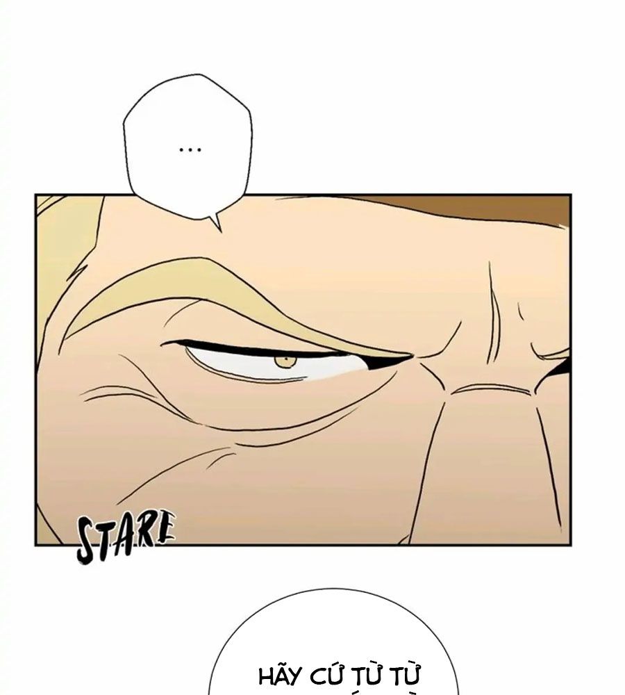 Chiến Binh Xương Trắng Thất Thủ: Chapter 29