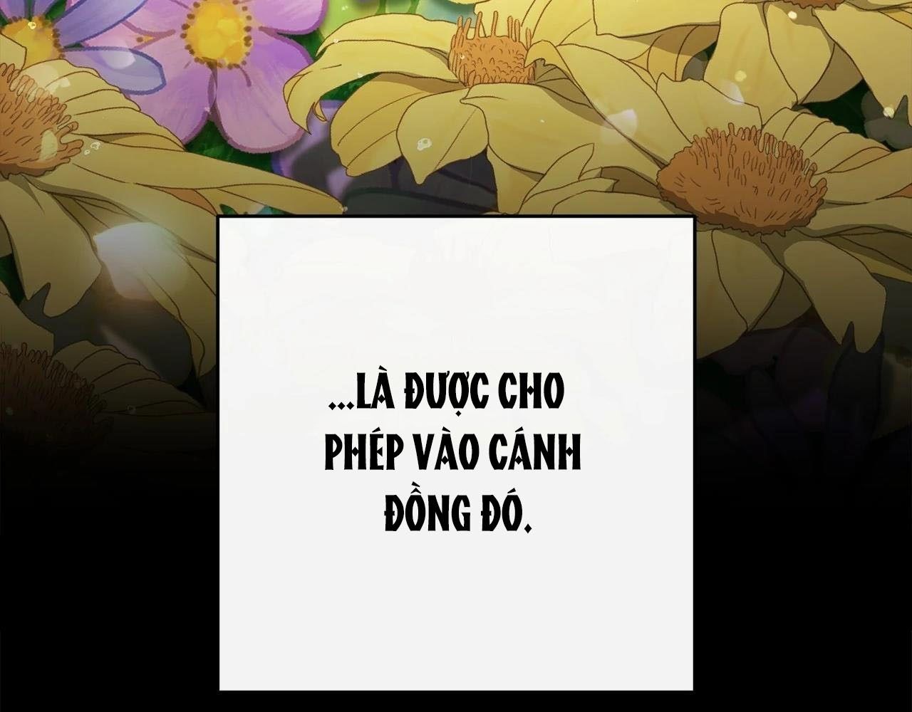 Chiến Binh Xương Trắng Thất Thủ: Chapter 315