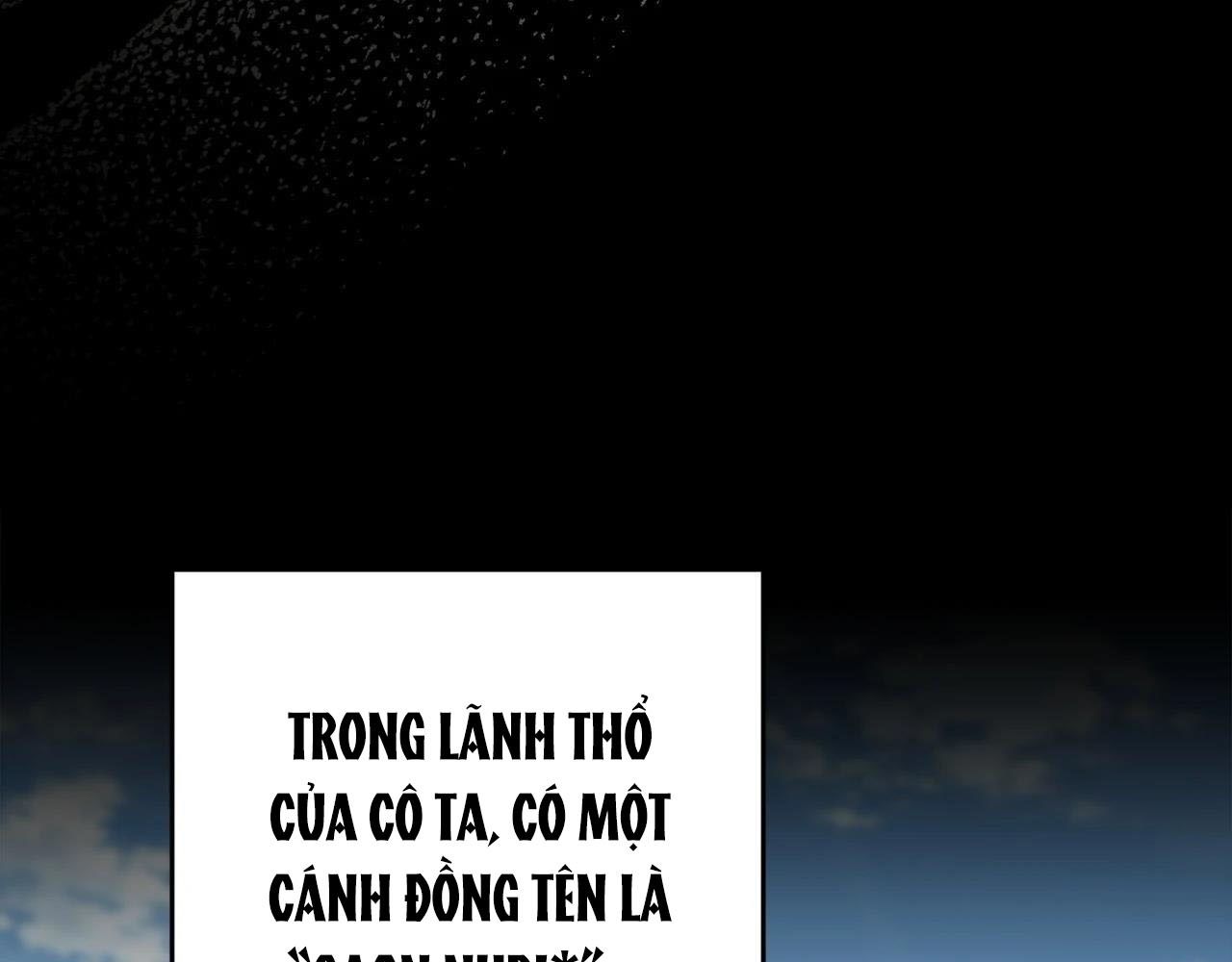 Chiến Binh Xương Trắng Thất Thủ: Chapter 315