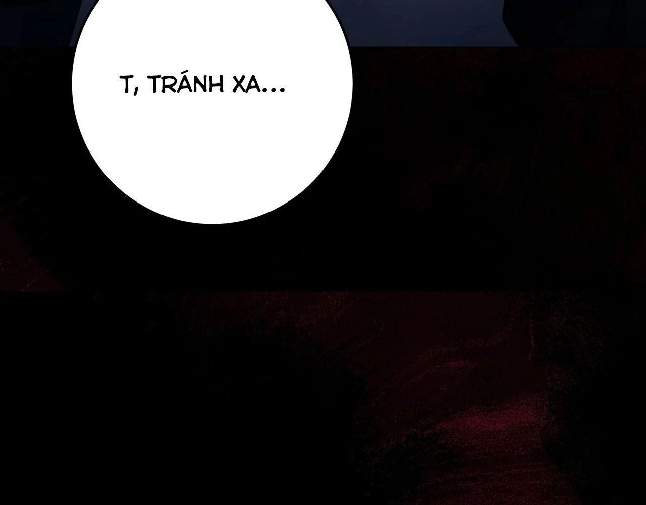 Chiến Binh Xương Trắng Thất Thủ: Chapter 316