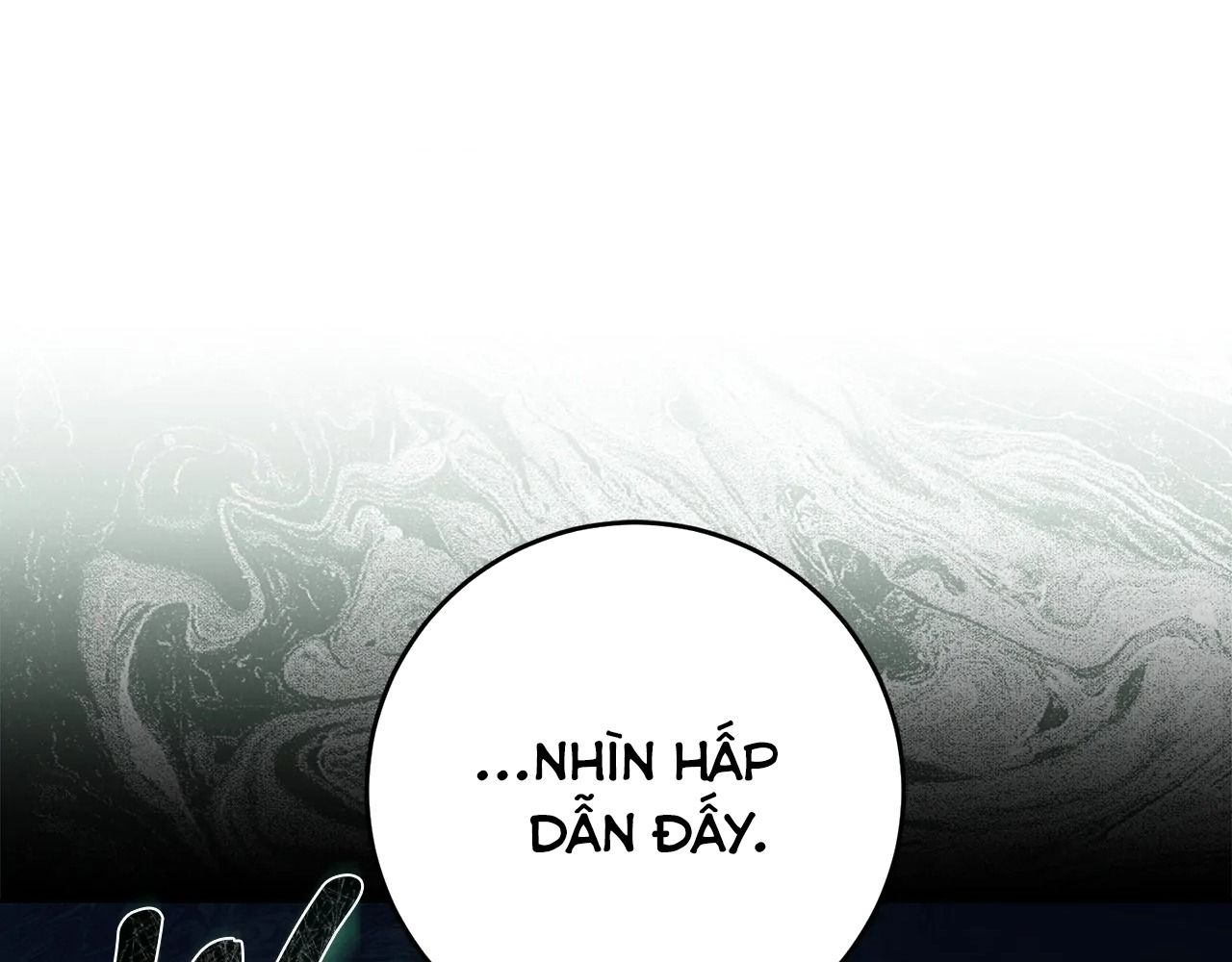 Chiến Binh Xương Trắng Thất Thủ: Chapter 319