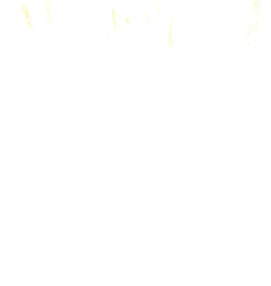 Chiến Binh Xương Trắng Thất Thủ: Chapter 42