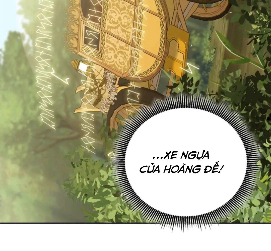 Chiến Binh Xương Trắng Thất Thủ: Chapter 51