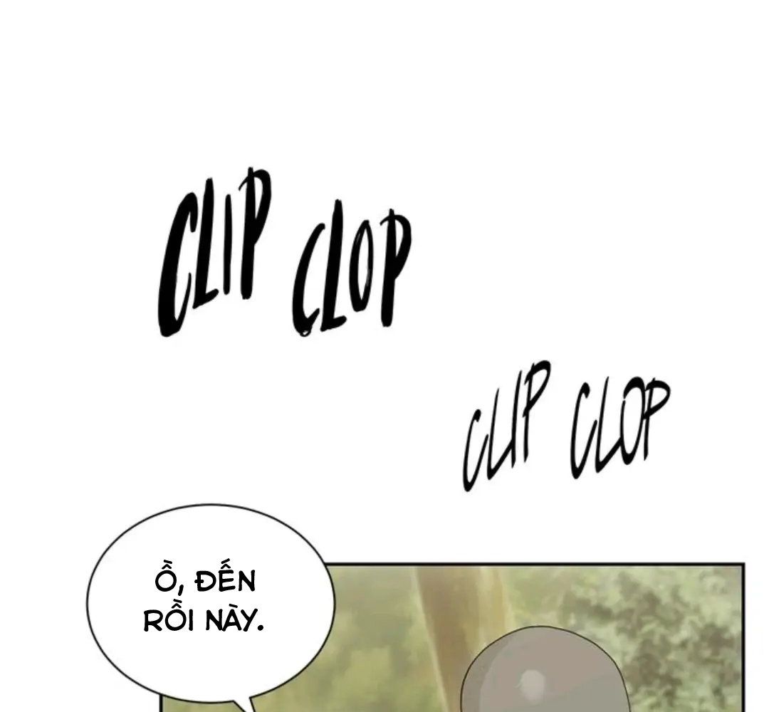 Chiến Binh Xương Trắng Thất Thủ: Chapter 51