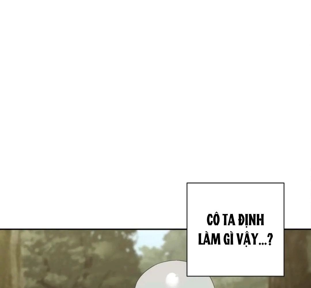 Chiến Binh Xương Trắng Thất Thủ: Chapter 52