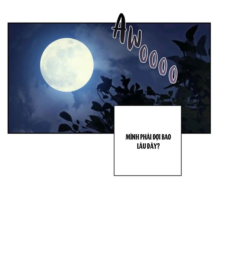 Chiến Binh Xương Trắng Thất Thủ: Chapter 60