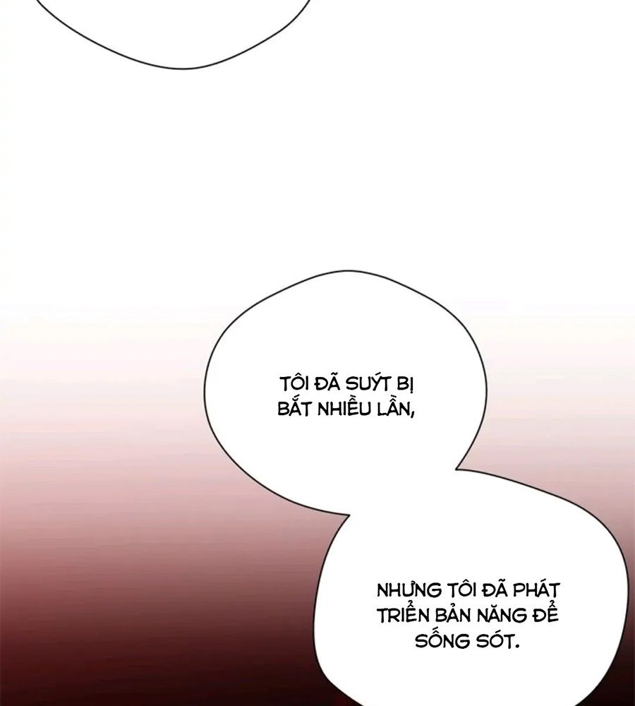 Chiến Binh Xương Trắng Thất Thủ: Chapter 80