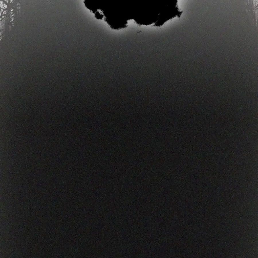 Chiến Binh Xương Trắng Thất Thủ: Chapter 95