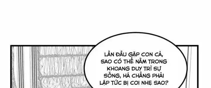 Chiến Hạm Của Ta Có Thể Thăng Cấp: Chapter 26