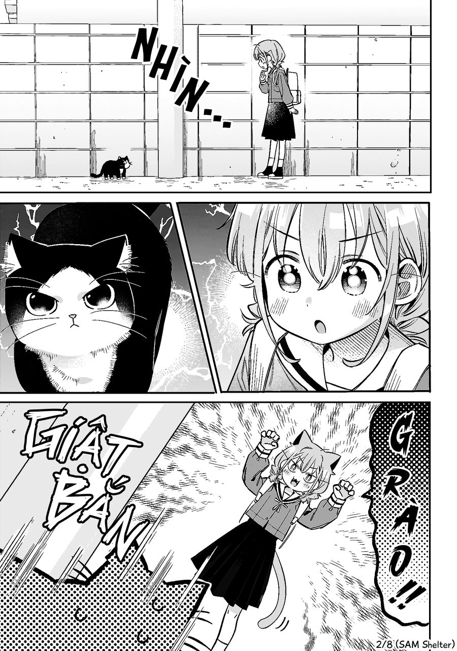 Chigau Miyahara, Omae Ja Nai!: Chapter 9.5