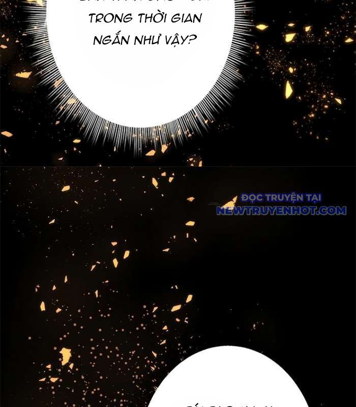 Chinh Phục Hầm Ngục Bằng Sao Chép Và Dán!: Chapter 12