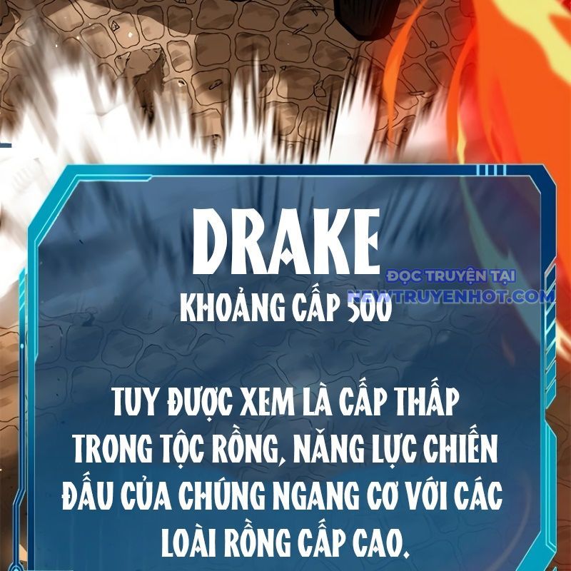 Chinh Phục Hầm Ngục Bằng Sao Chép Và Dán!: Chapter 21