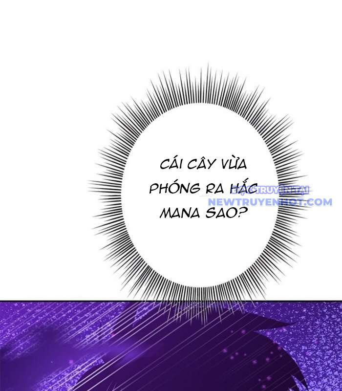 Chinh Phục Hầm Ngục Bằng Sao Chép Và Dán!: Chapter 25