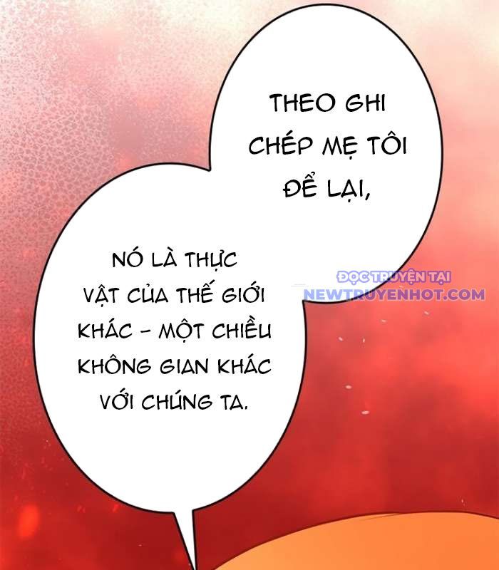 Chinh Phục Hầm Ngục Bằng Sao Chép Và Dán!: Chapter 25