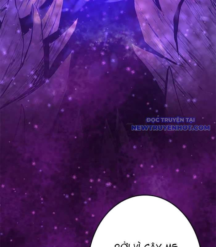 Chinh Phục Hầm Ngục Bằng Sao Chép Và Dán!: Chapter 25