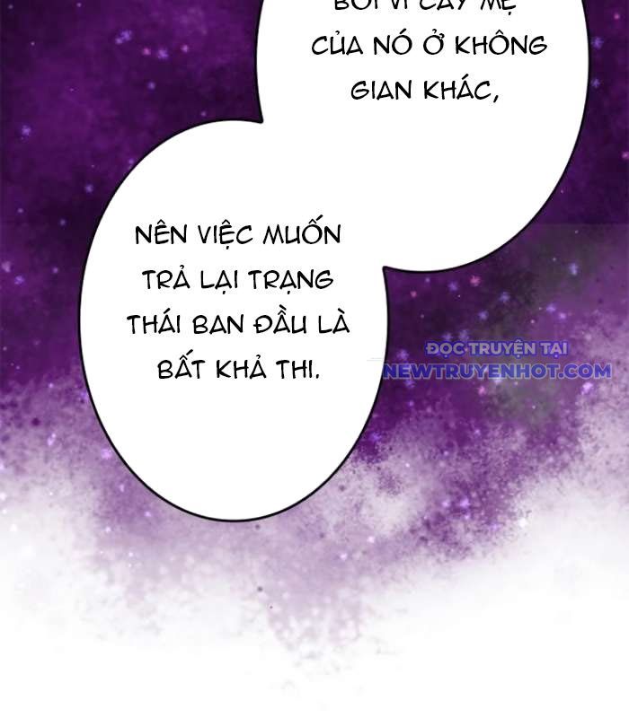 Chinh Phục Hầm Ngục Bằng Sao Chép Và Dán!: Chapter 25