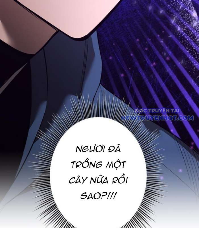 Chinh Phục Hầm Ngục Bằng Sao Chép Và Dán!: Chapter 25