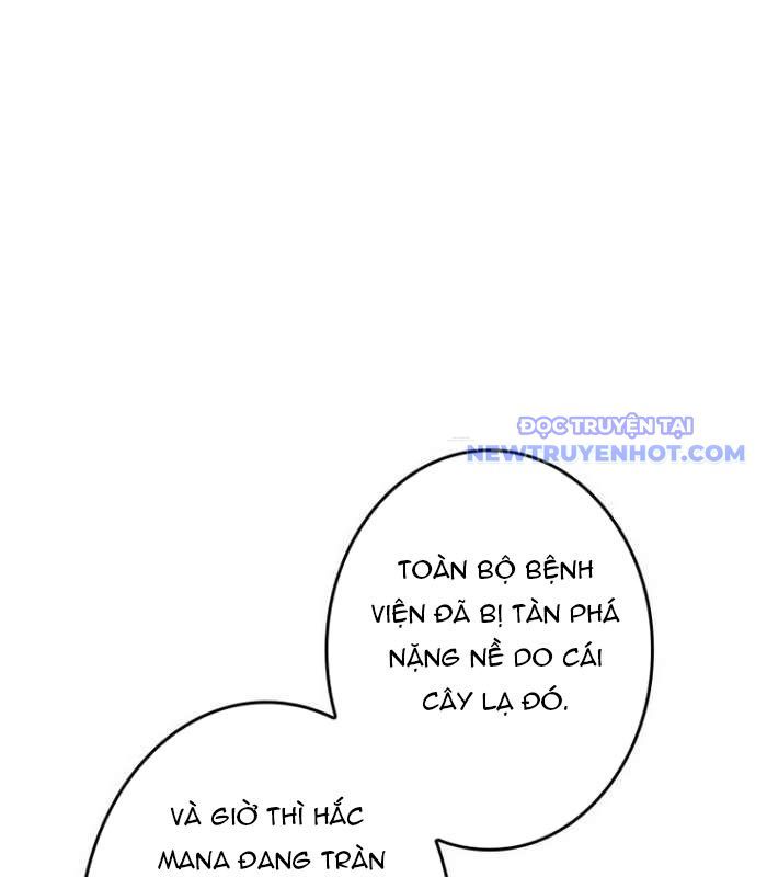 Chinh Phục Hầm Ngục Bằng Sao Chép Và Dán!: Chapter 25