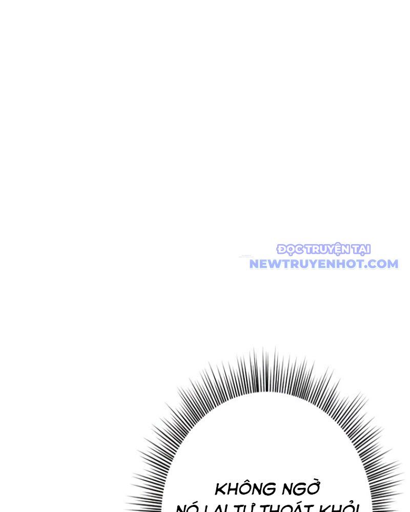 Chinh Phục Hầm Ngục Bằng Sao Chép Và Dán!: Chapter 26