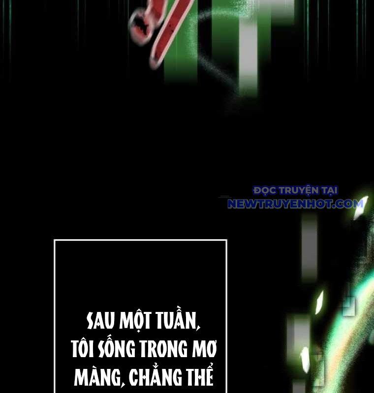 Chinh Phục Hầm Ngục Bằng Sao Chép Và Dán!: Chapter 28