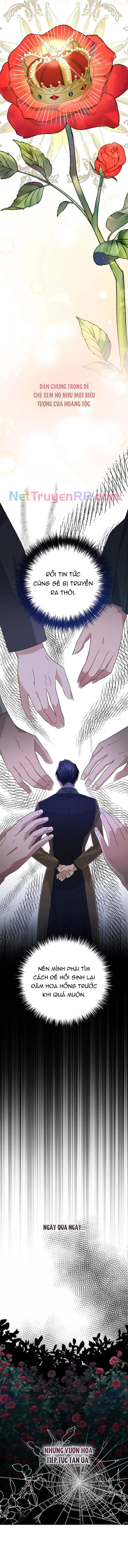 Cho Đến Khi Nữ Chính Thực Sự Xuất Hiện: Chapter 31