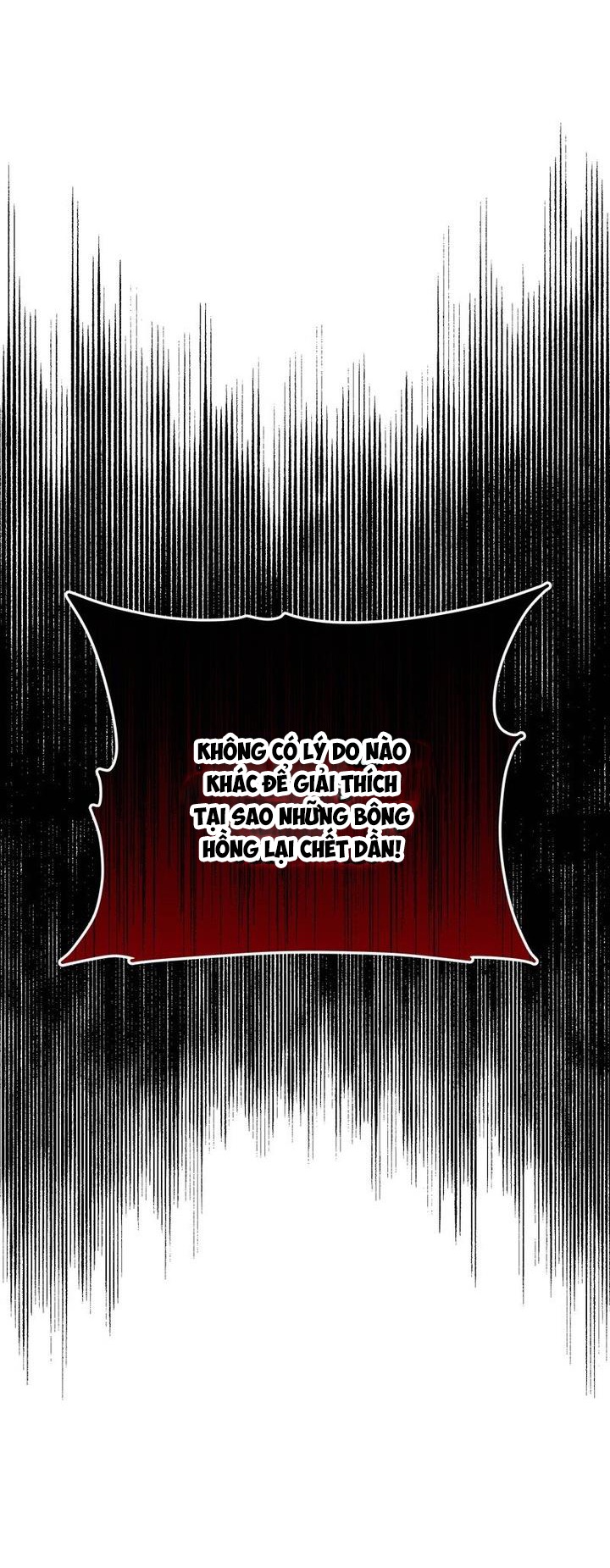 Cho Đến Khi Nữ Chính Thực Sự Xuất Hiện: Chapter 34