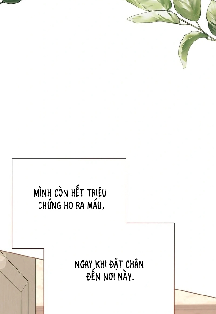 Cho Đến Khi Nữ Chính Thực Sự Xuất Hiện: Chapter 71