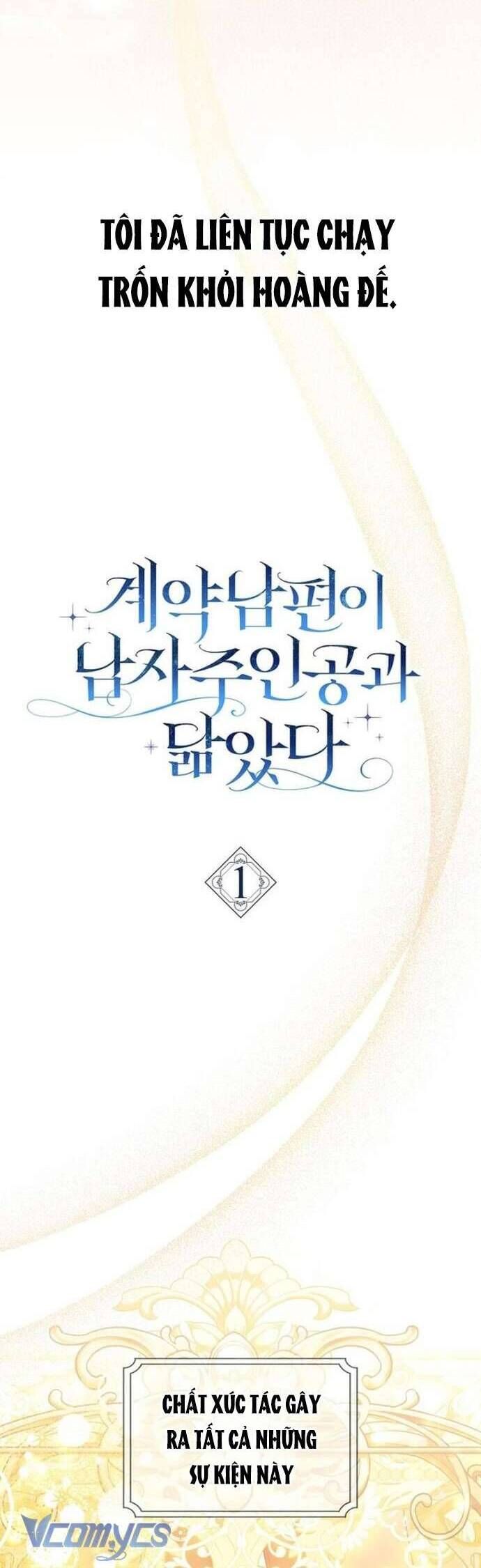 Chồng Của Tôi Giống Nam Chính Quá Đi: Chapter 1