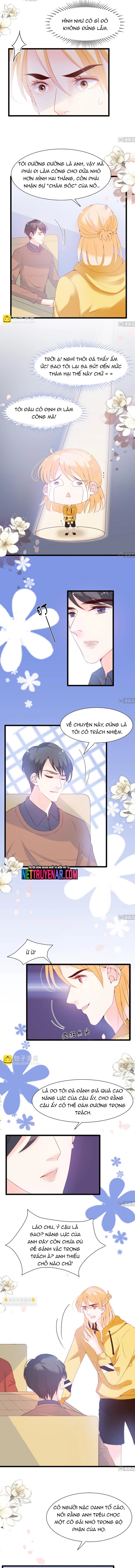 Chu Tiên Sinh, Ép Cưới Phạm Pháp Đó: Chapter 66