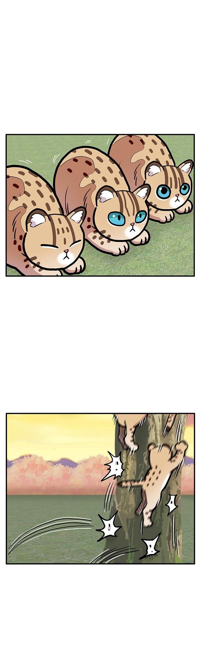 Chúa Tể Muôn Loài: Chapter 35