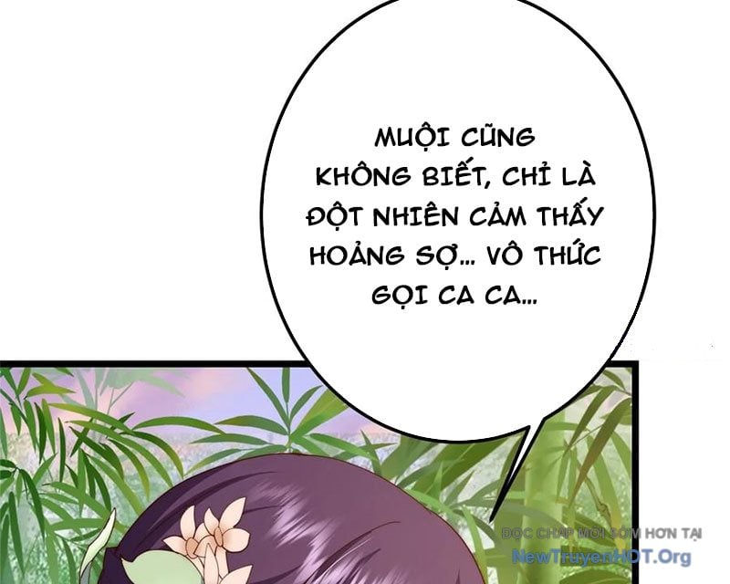 Chưởng Môn Khiêm Tốn Chút: Chapter 542