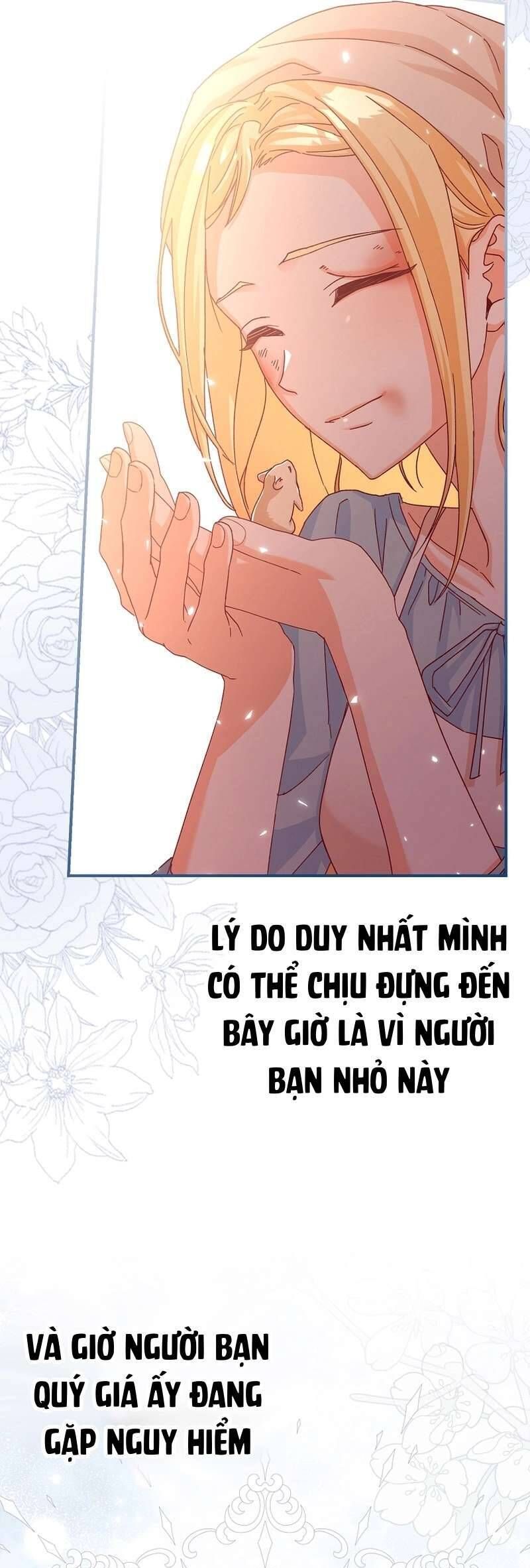 Chuột Đồng Này Sẽ Đưa Lọ Lem Đi: Chapter 4
