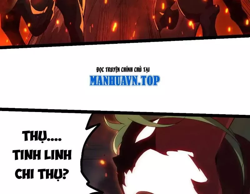 Chuyển Sinh Thành Liễu Đột Biến: Chapter 285.1